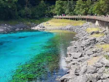 四川九寨沟旅游价格(省钱攻略有哪些)