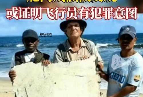 MH370唯一幸存者( 刘海波的出现能否解开谜团)