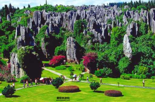 云南著名旅游景点(还是感受自然奇观)