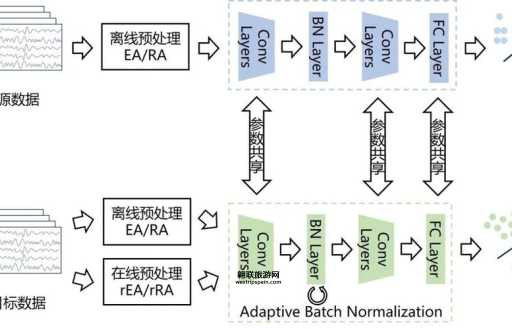 智能医学工程专业详解：核心研究内容与未来发展