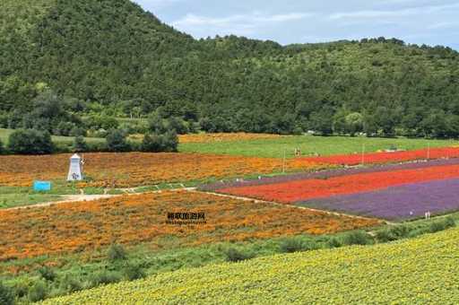 延庆四季花海全攻略：四季花开，美不胜收