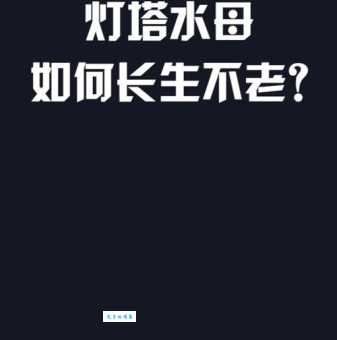 返老还童的意思是什么？揭秘长生不老的秘密！