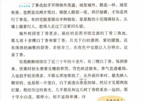 丁香结主要内容是啥？这几个要点概括全文！