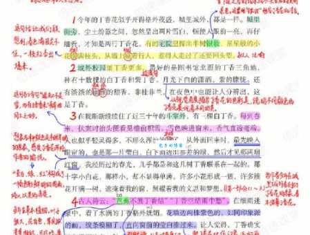 丁香结主要内容是啥？这几个要点概括全文！