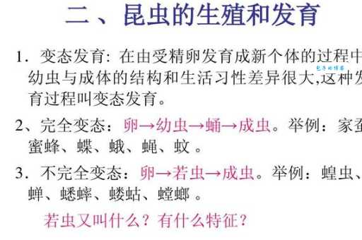 想知道蝙蝠怎么组词？这里有你想要的答案