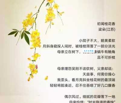 描写桂花香的优美句子：摘录最动人的桂花香语句