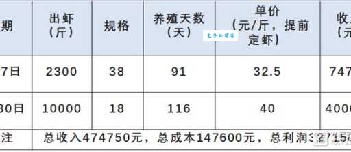 养虾一亩一般赚多少？不同品种收益大不同！