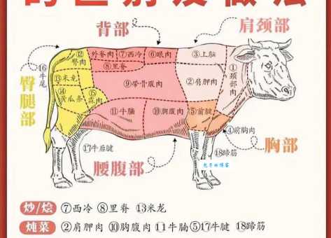 雪花牛肉是牛的什么部位？看完这篇文章就懂了！