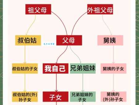 外甥和侄子哪个血缘更亲近？一篇文章给你讲清楚！