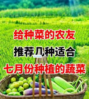 7-8月份种什么农作物？高产蔬菜水果种植指南