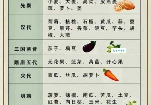 7-8月份种什么农作物？高产蔬菜水果种植指南